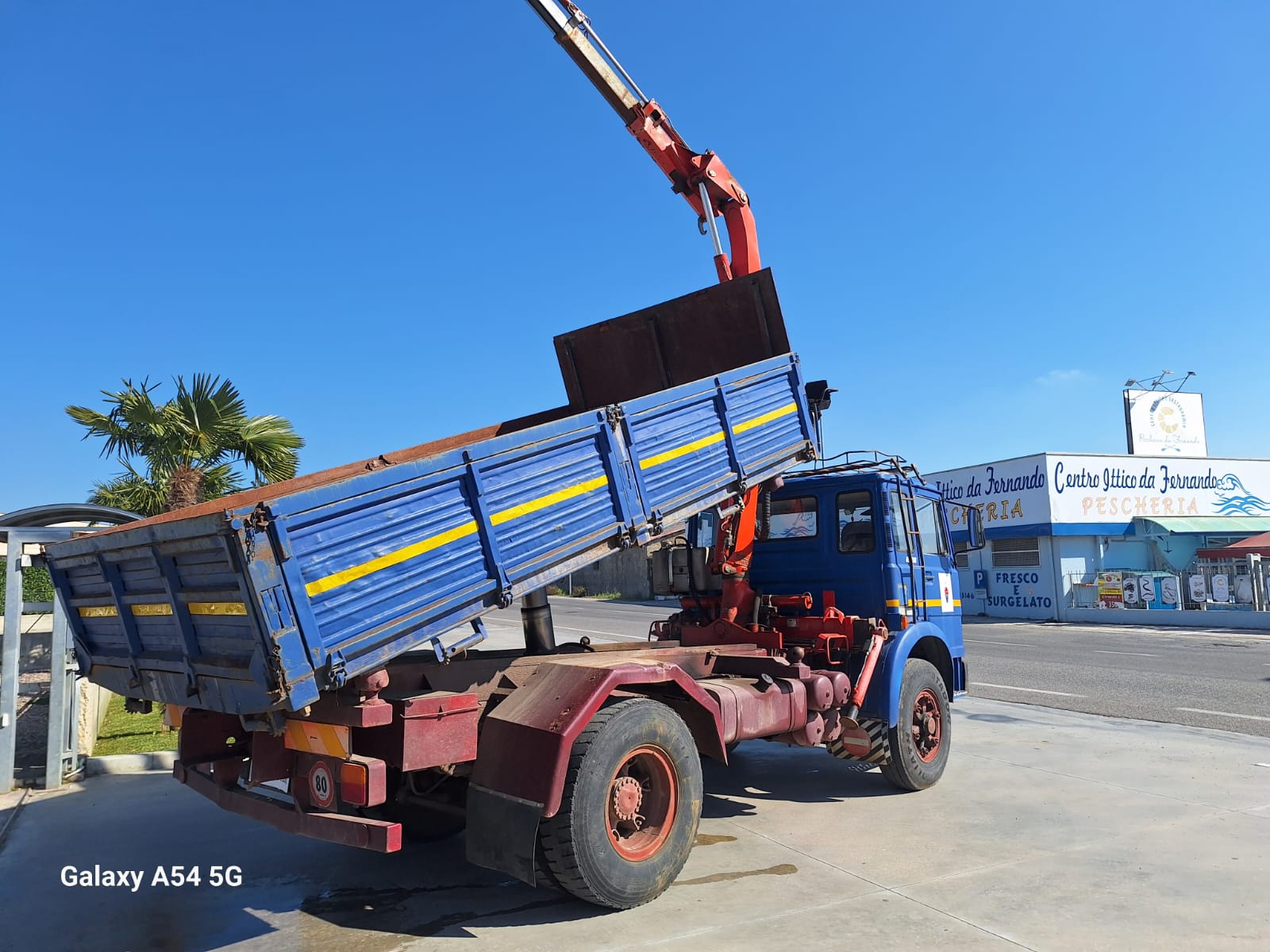 Fiat 160 ribaltabile e Gru Fassi - immagine 12