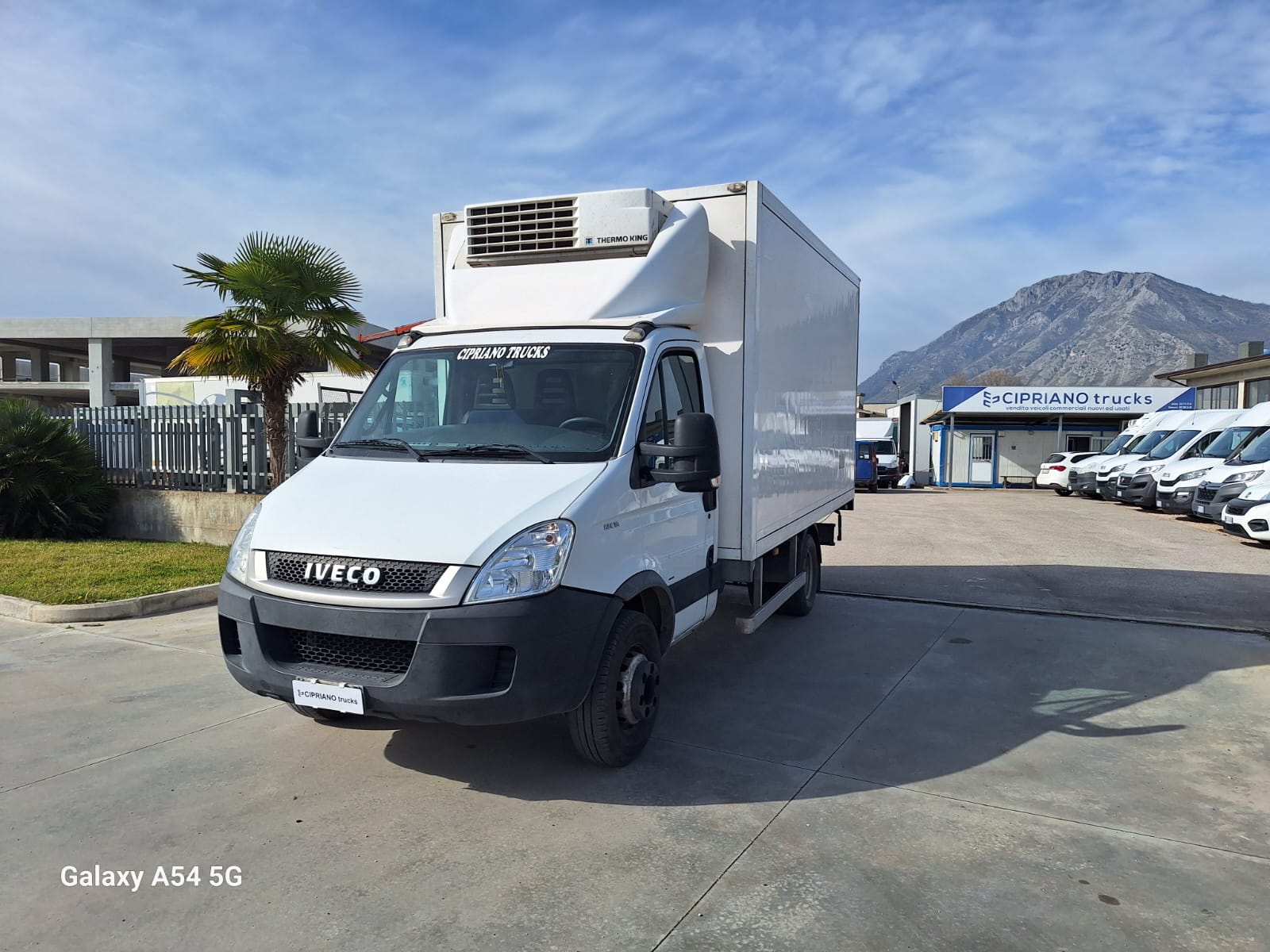 Iveco Daily 65C18 Frigorifero Trasporto Carni ATP 2029 - immagine 4