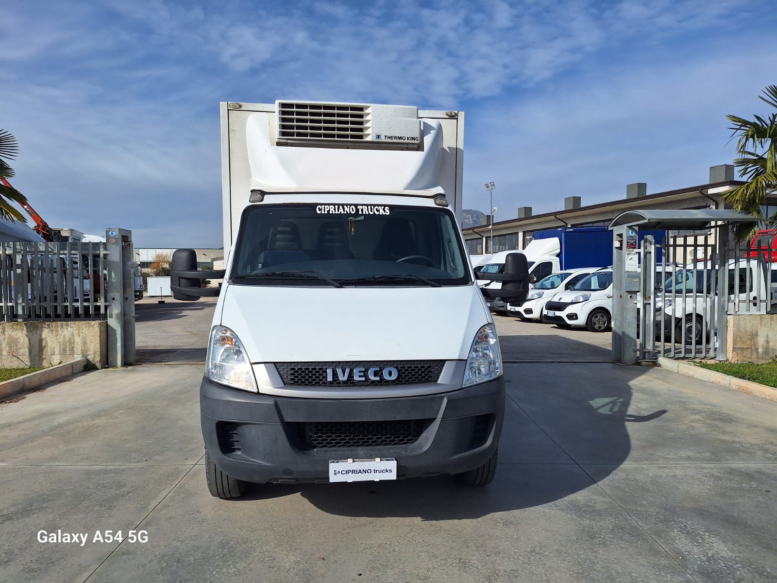 Iveco Daily 65C18 Frigorifero Trasporto Carni ATP 2029 - immagine 8