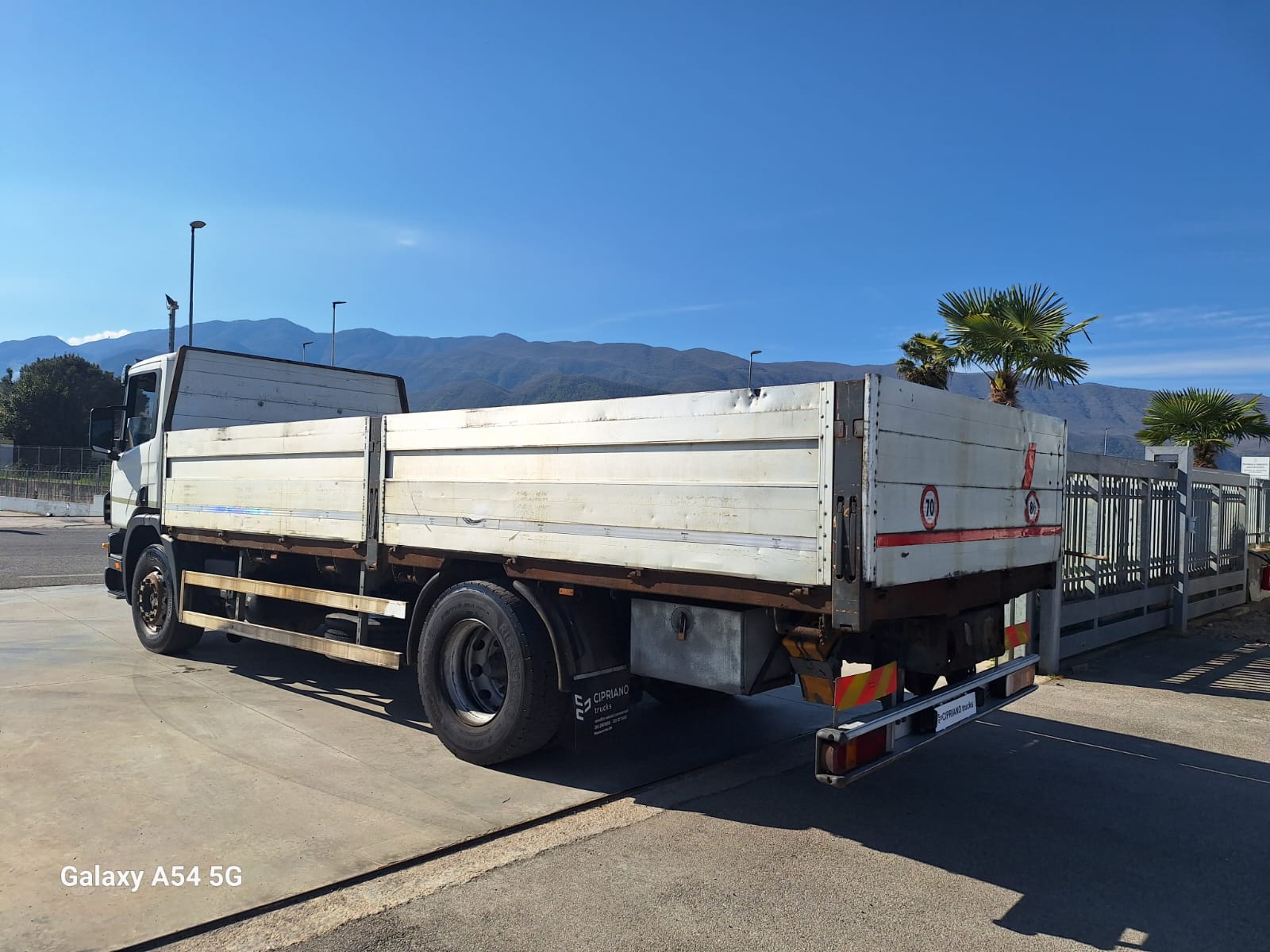 Scania P300 Cassone fisso - immagine 4