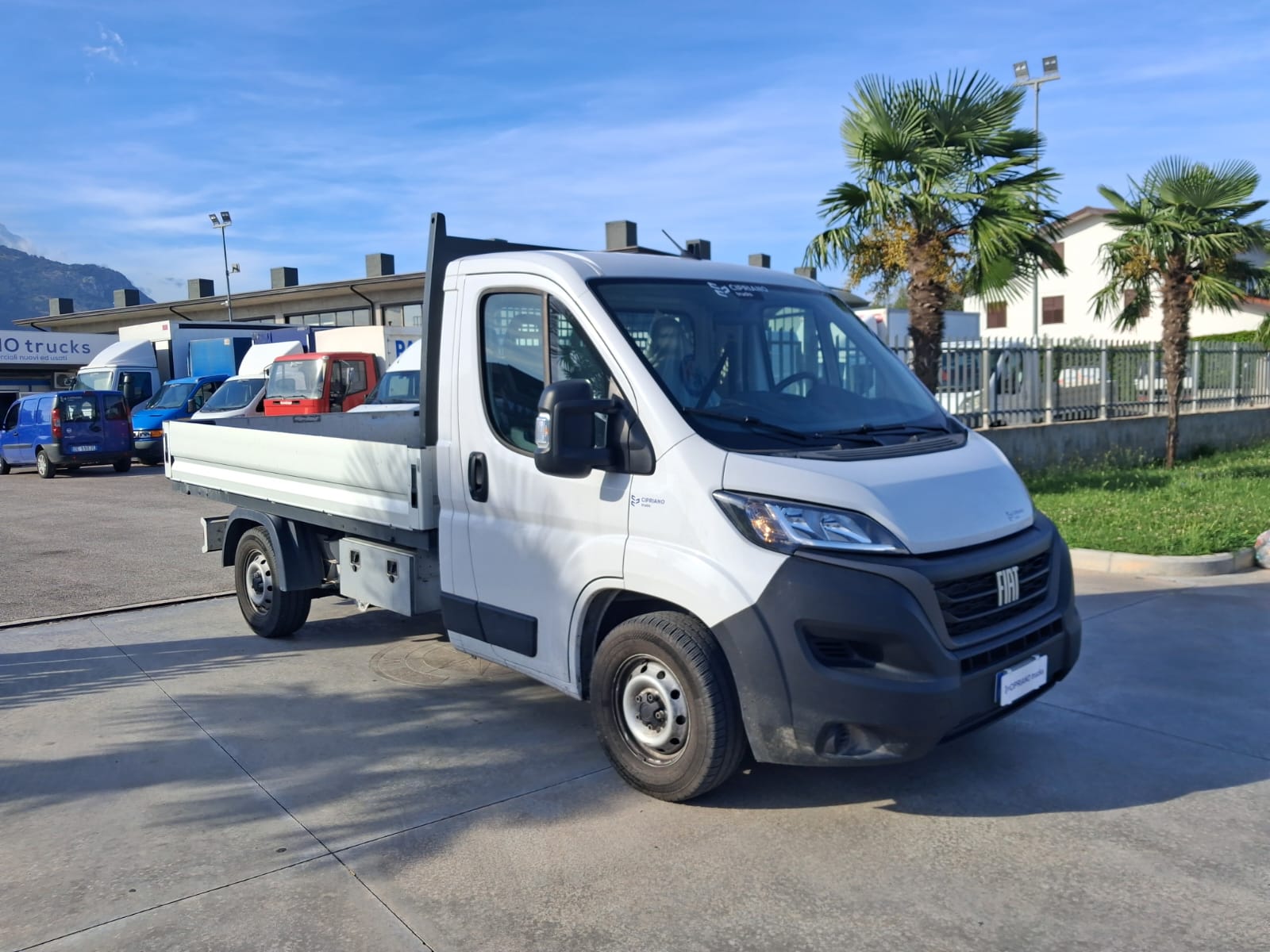 Fiat Ducato Cassone Fisso KM: 28.942 - immagine 1