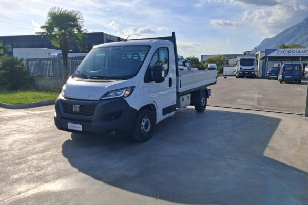 Fiat Ducato Cassone Fisso KM: 28.942 - immagine 14