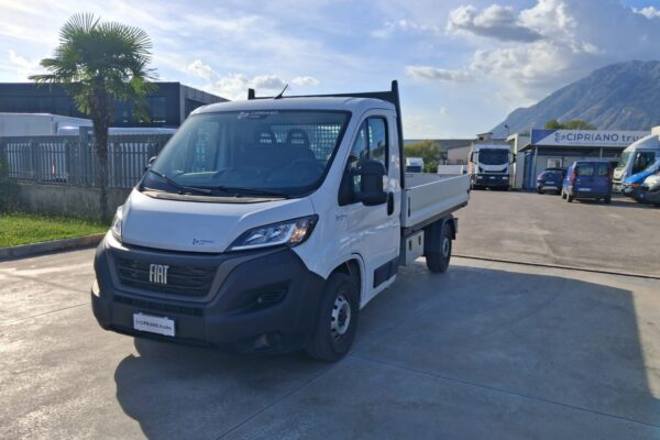 Fiat Ducato Cassone Fisso KM: 28.942 - immagine 3