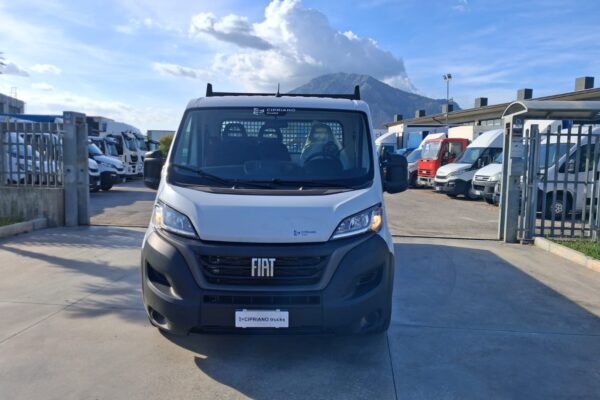 Fiat Ducato Cassone Fisso KM: 28.942 - immagine 4