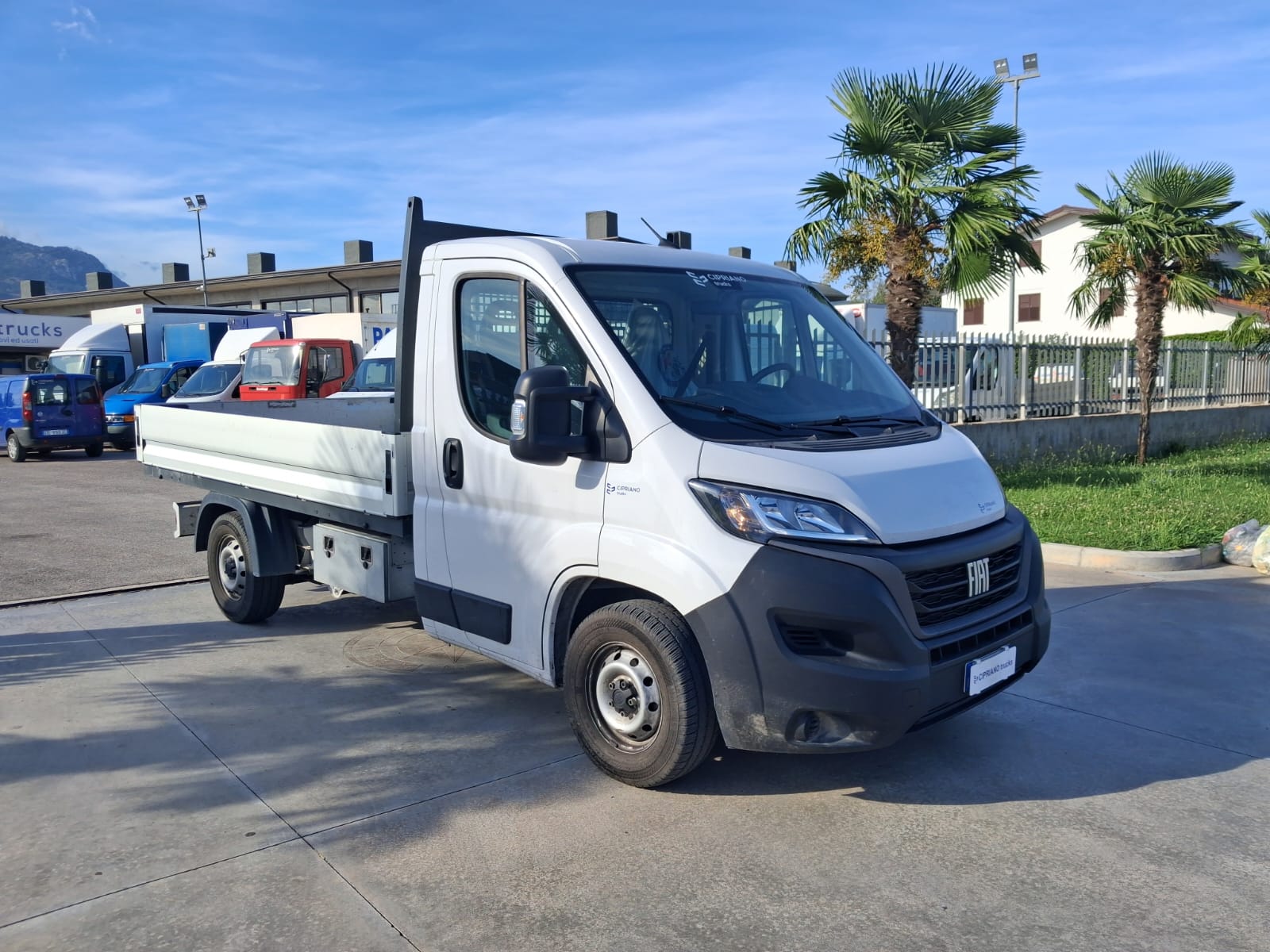 Fiat Ducato Cassone Fisso KM: 28.942 - immagine 6