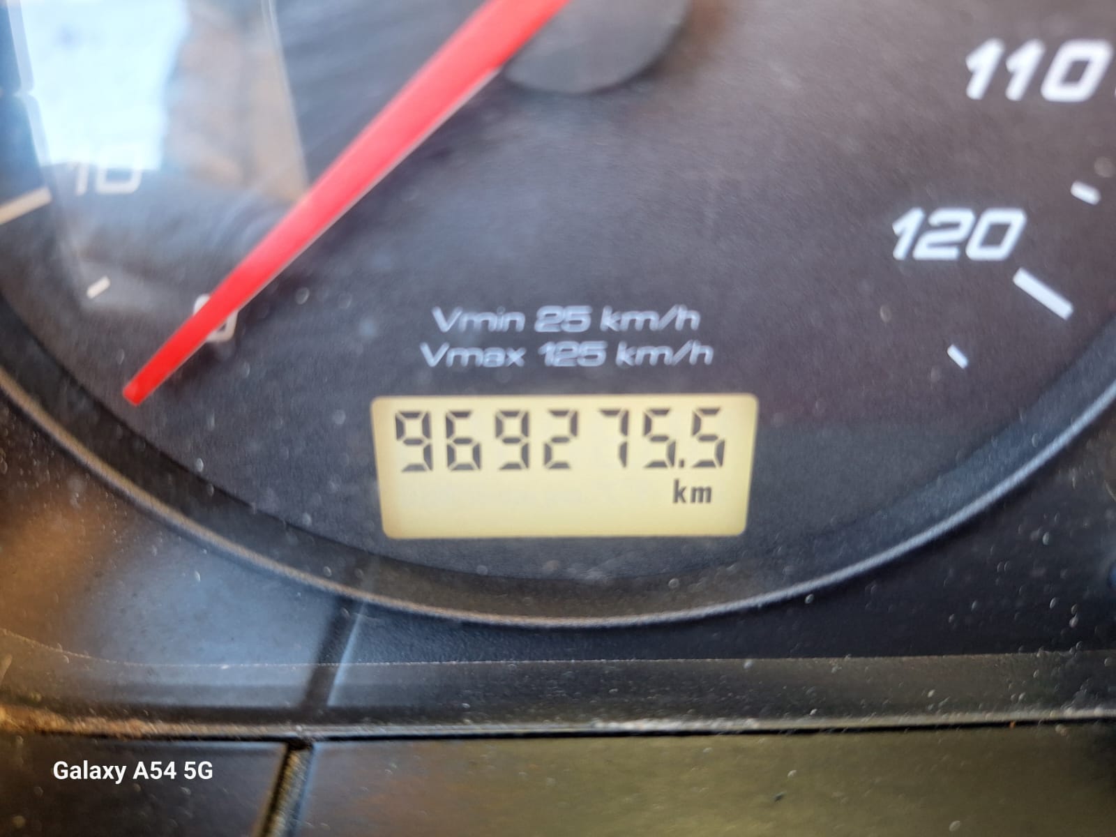 Iveco Stralis Centinato con Sponda Caricatrice EURO 6 - immagine 17