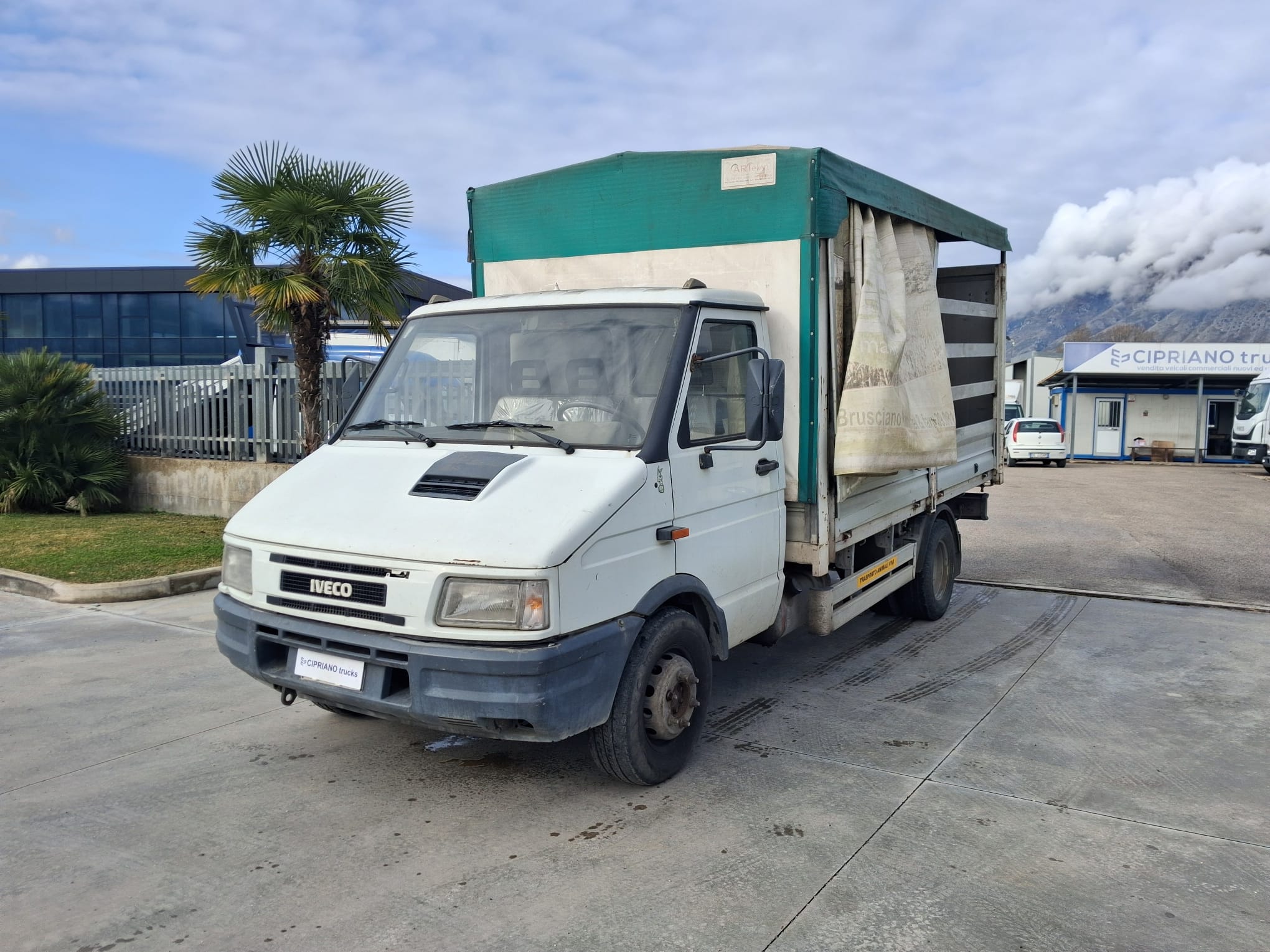 Iveco Daily Centinato Trasporto Bestiame - immagine 11