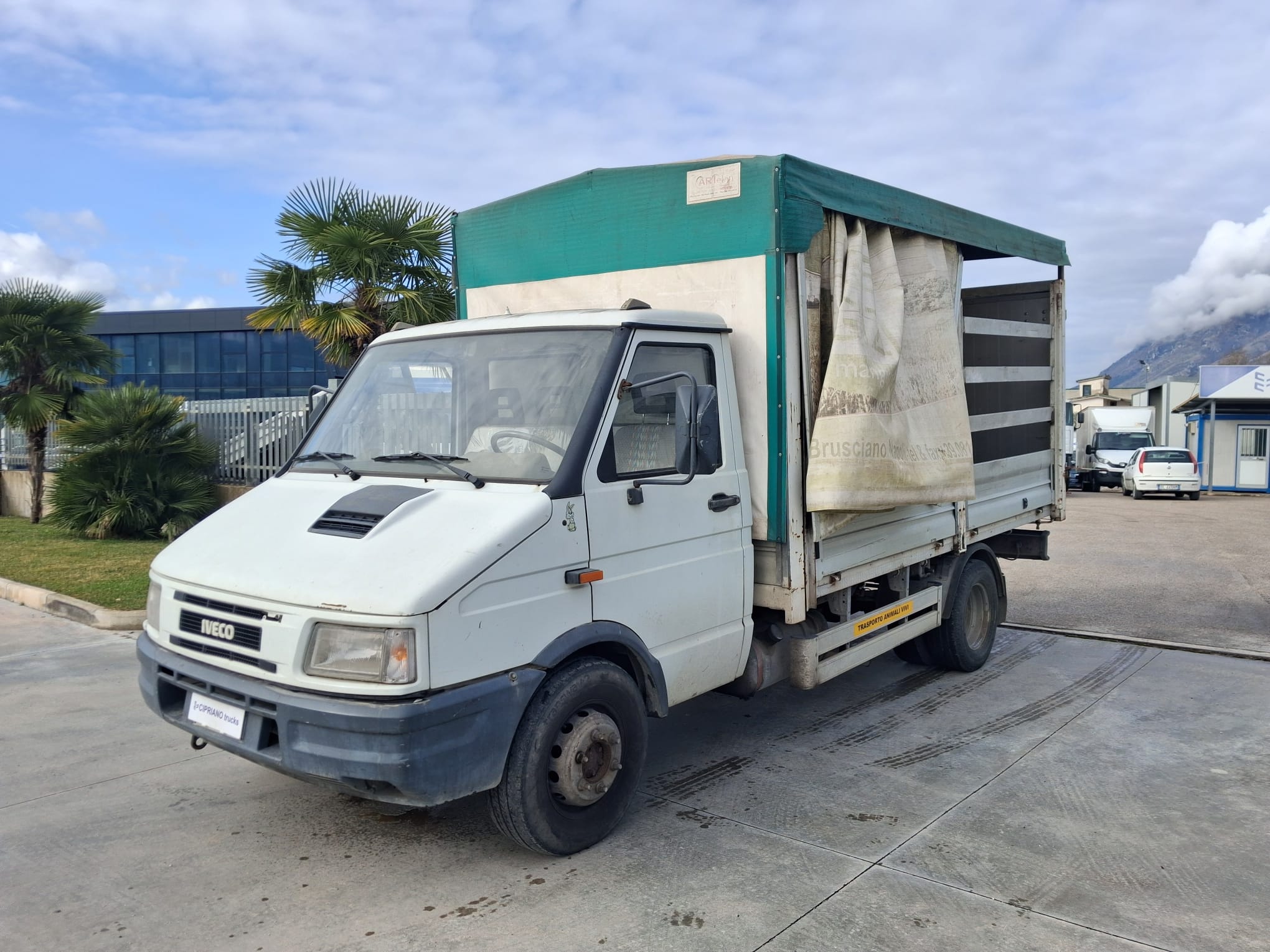 Iveco Daily Centinato Trasporto Bestiame - immagine 12