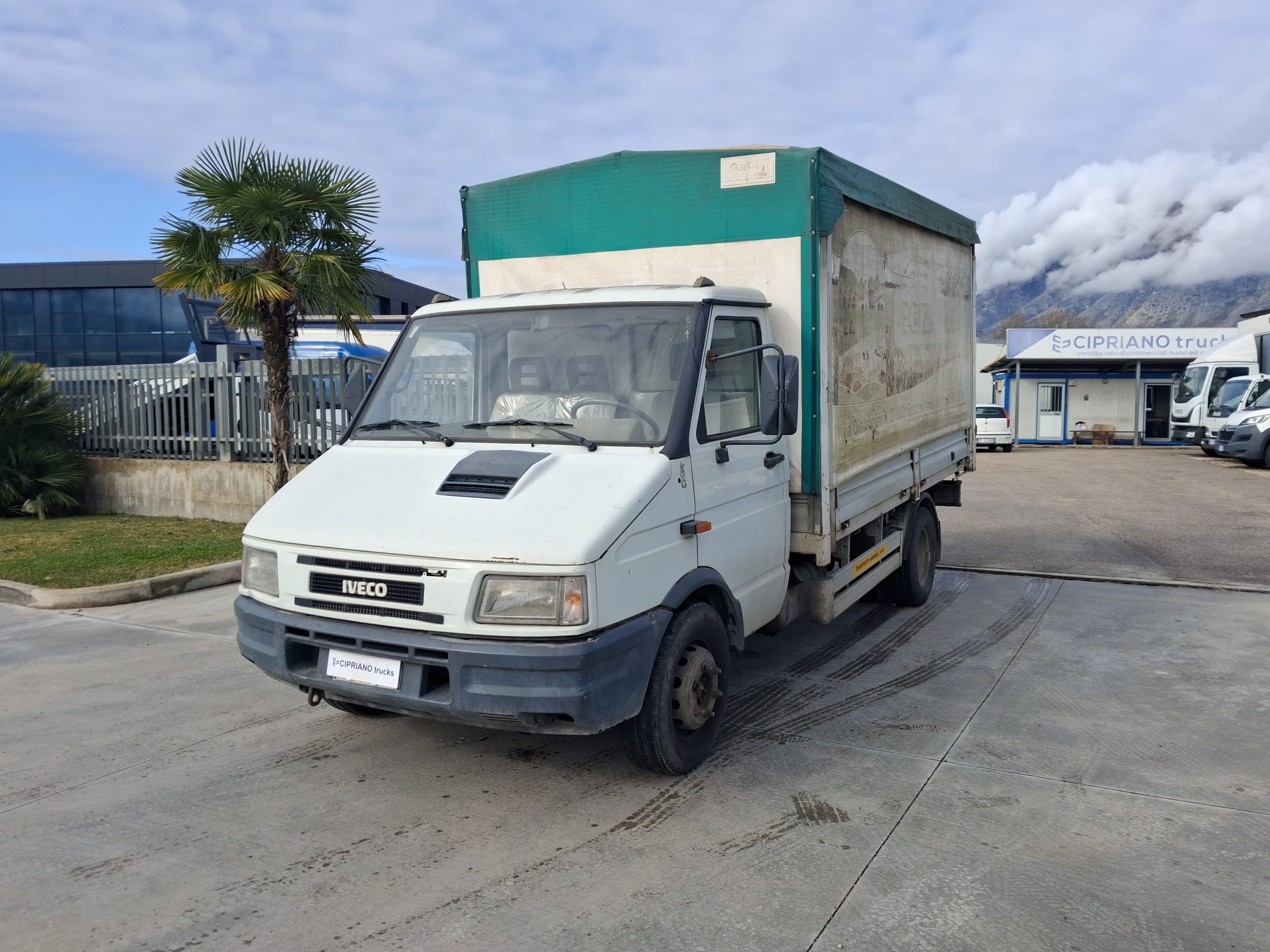 Iveco Daily Centinato Trasporto Bestiame - immagine 13