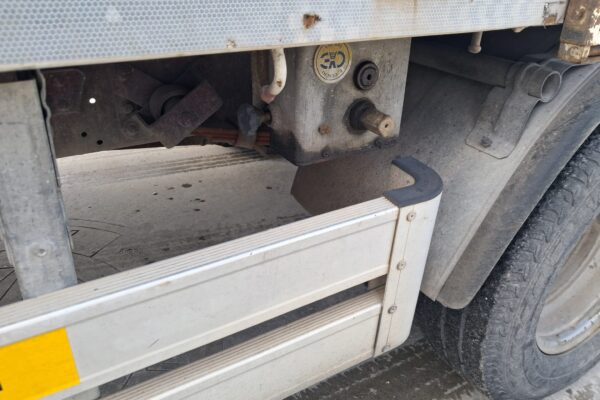 Iveco Daily Centinato Trasporto Bestiame - immagine 6