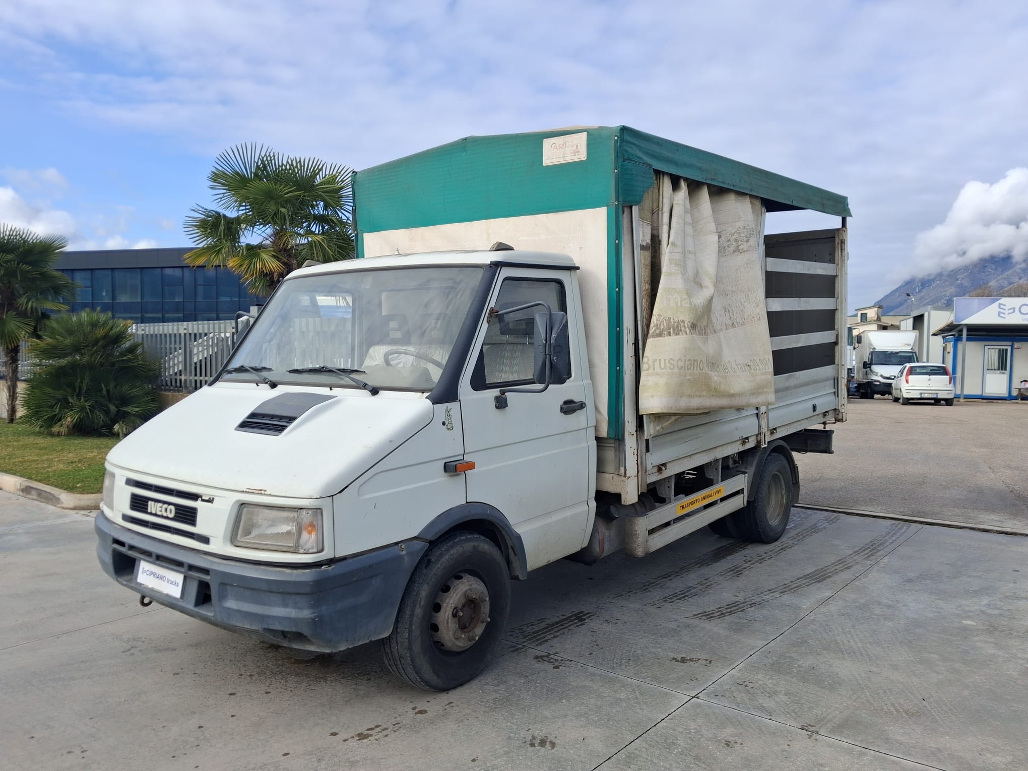 Iveco Daily Centinato Trasporto Bestiame - immagine 9