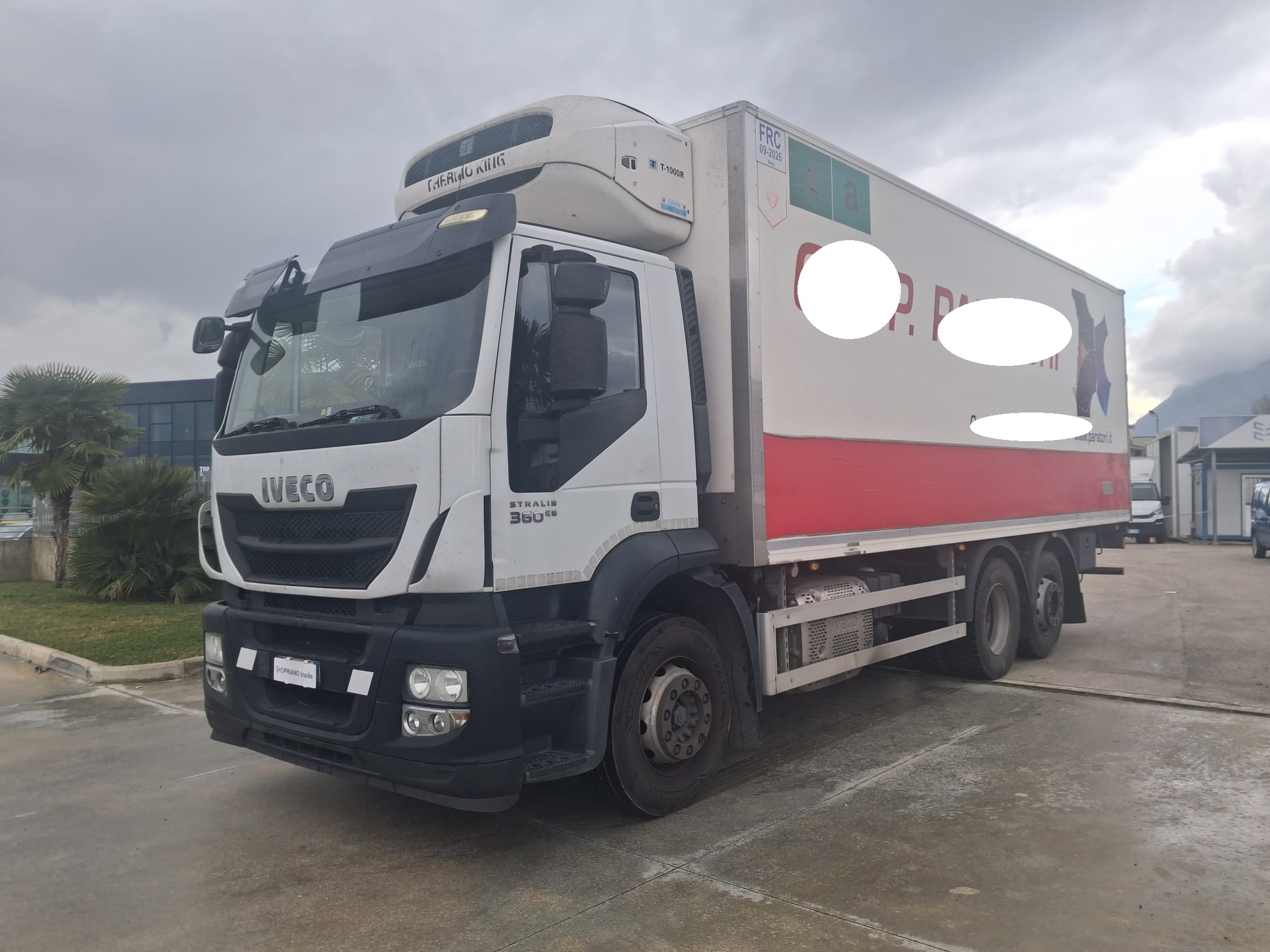 Iveco Stralis Frigorifero con Sponda Euro 6 - immagine 11