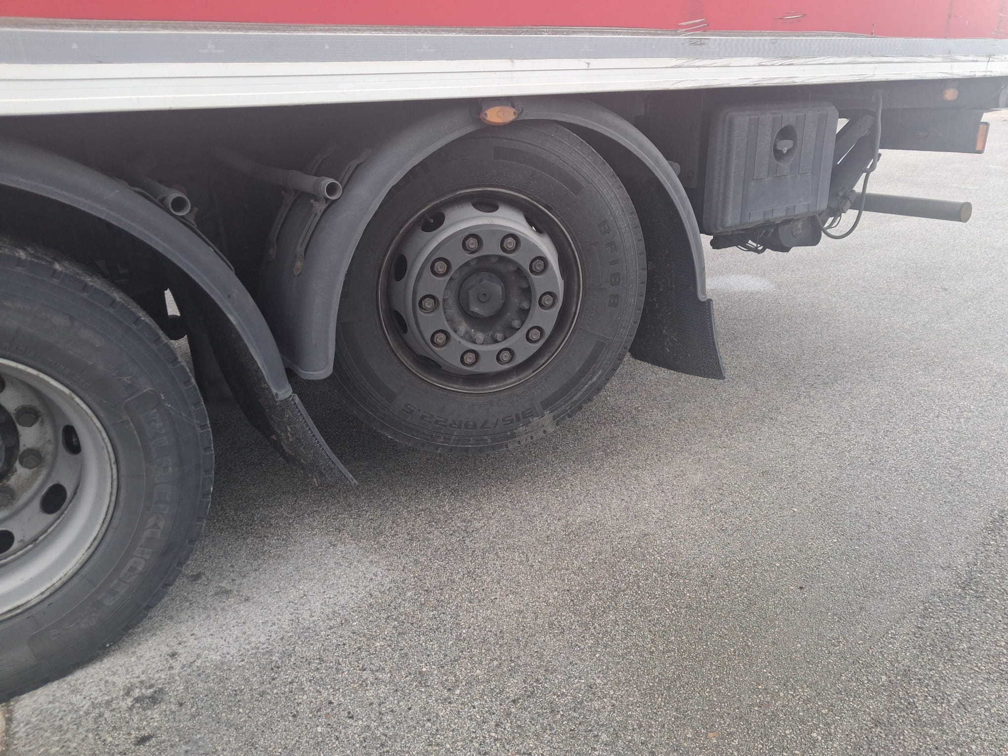 Iveco Stralis Frigorifero con Sponda Euro 6 - immagine 14
