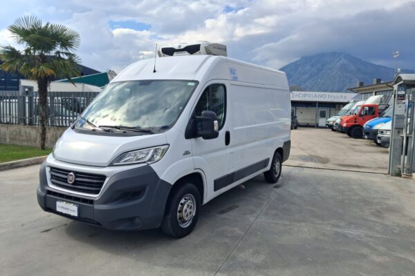 Fiat Ducato Furgonato Frigorifero Trasporto Carne - immagine 2