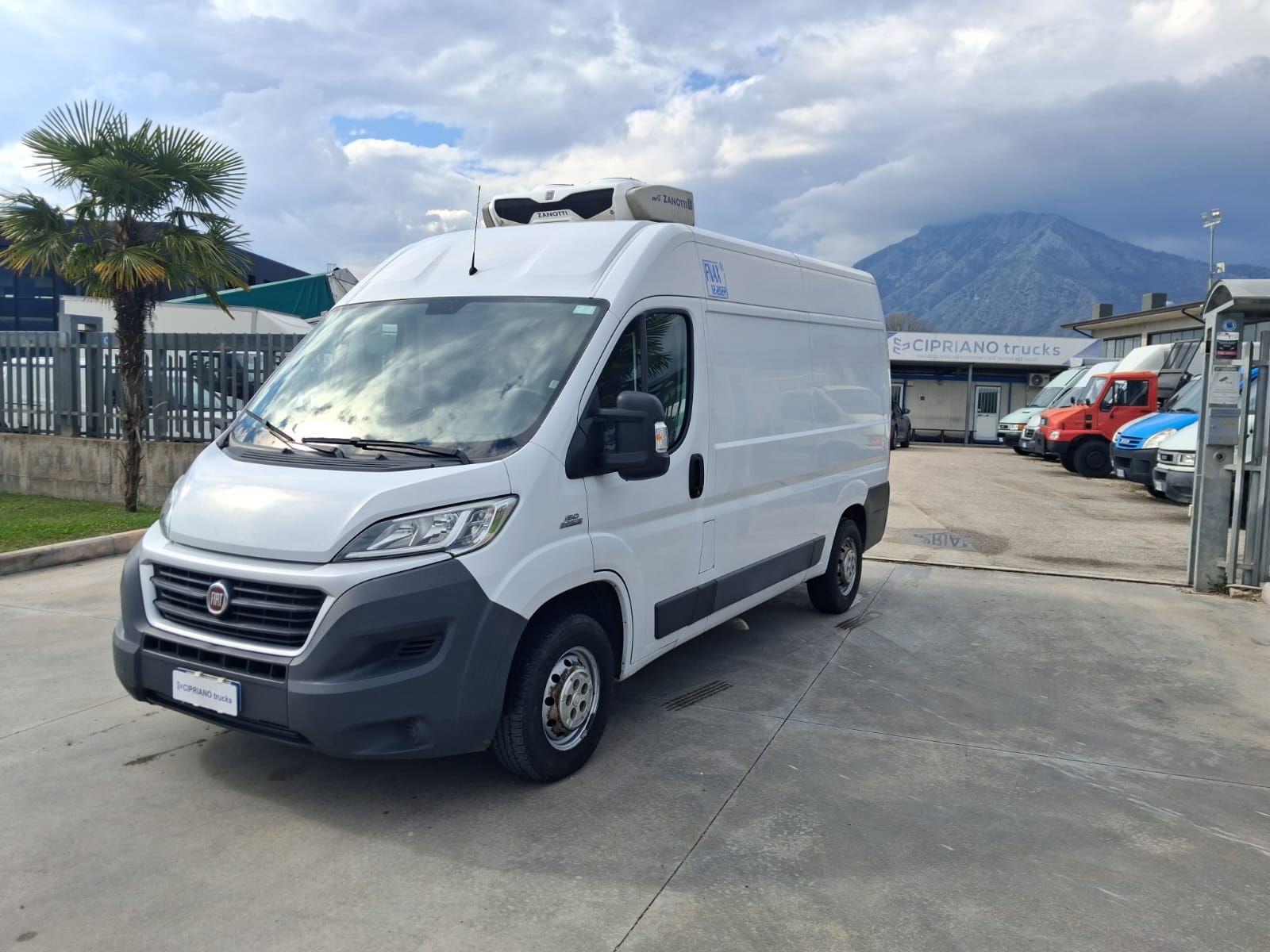 Fiat Ducato Furgonato Frigorifero Trasporto Carne - immagine 2