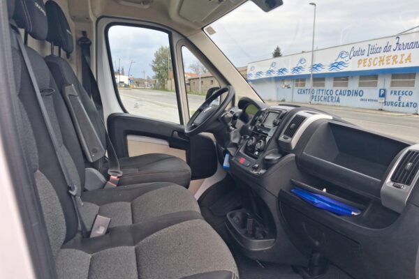 Fiat Ducato Furgonato Frigorifero Trasporto Carne - immagine 14