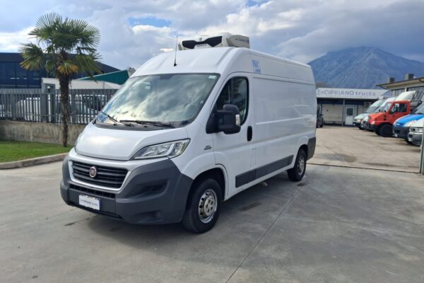 Fiat Ducato Furgonato Frigorifero Trasporto Carne - immagine 19