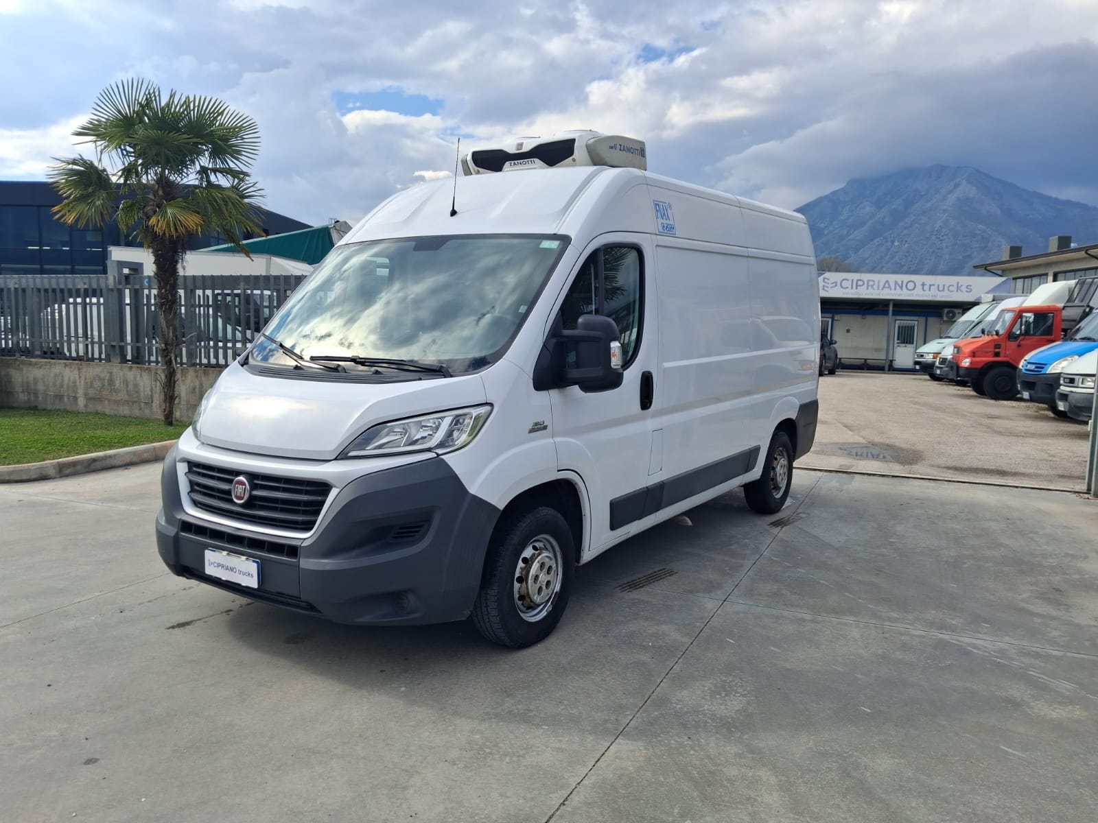 Fiat Ducato Furgonato Frigorifero Trasporto Carne - immagine 19