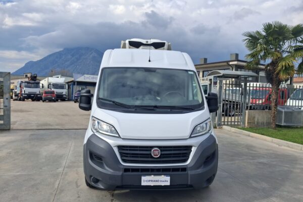 Fiat Ducato Furgonato Frigorifero Trasporto Carne - immagine 3