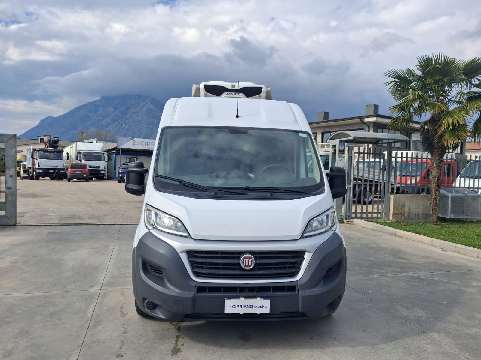 Fiat Ducato Furgonato Frigorifero Trasporto Carne - immagine 3