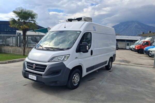 Fiat Ducato Furgonato Frigorifero Trasporto Carne - immagine 4