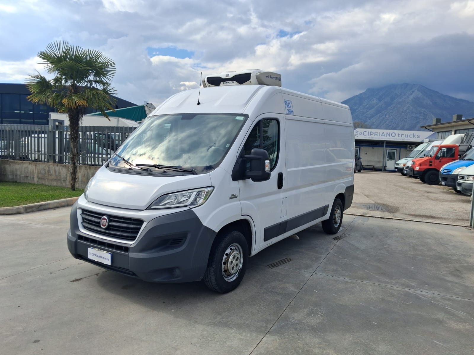 Fiat Ducato Furgonato Frigorifero Trasporto Carne - immagine 4