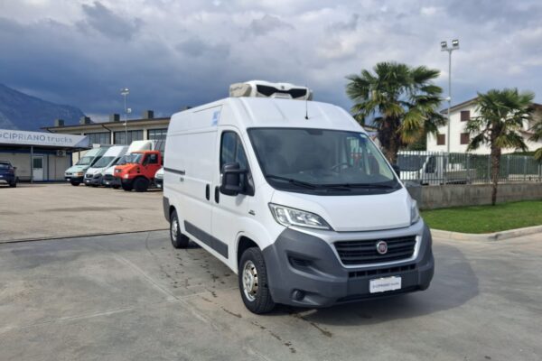 Fiat Ducato Furgonato Frigorifero Trasporto Carne - immagine 7