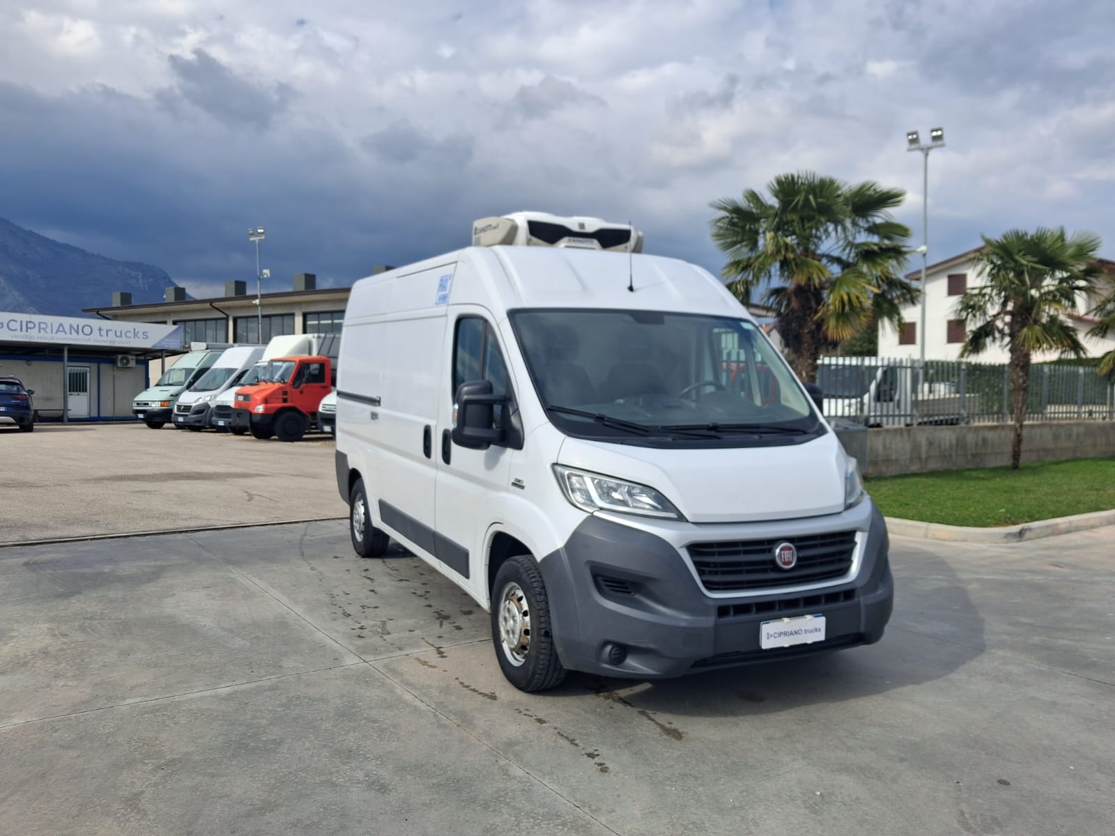 Fiat Ducato Furgonato Frigorifero Trasporto Carne - immagine 7