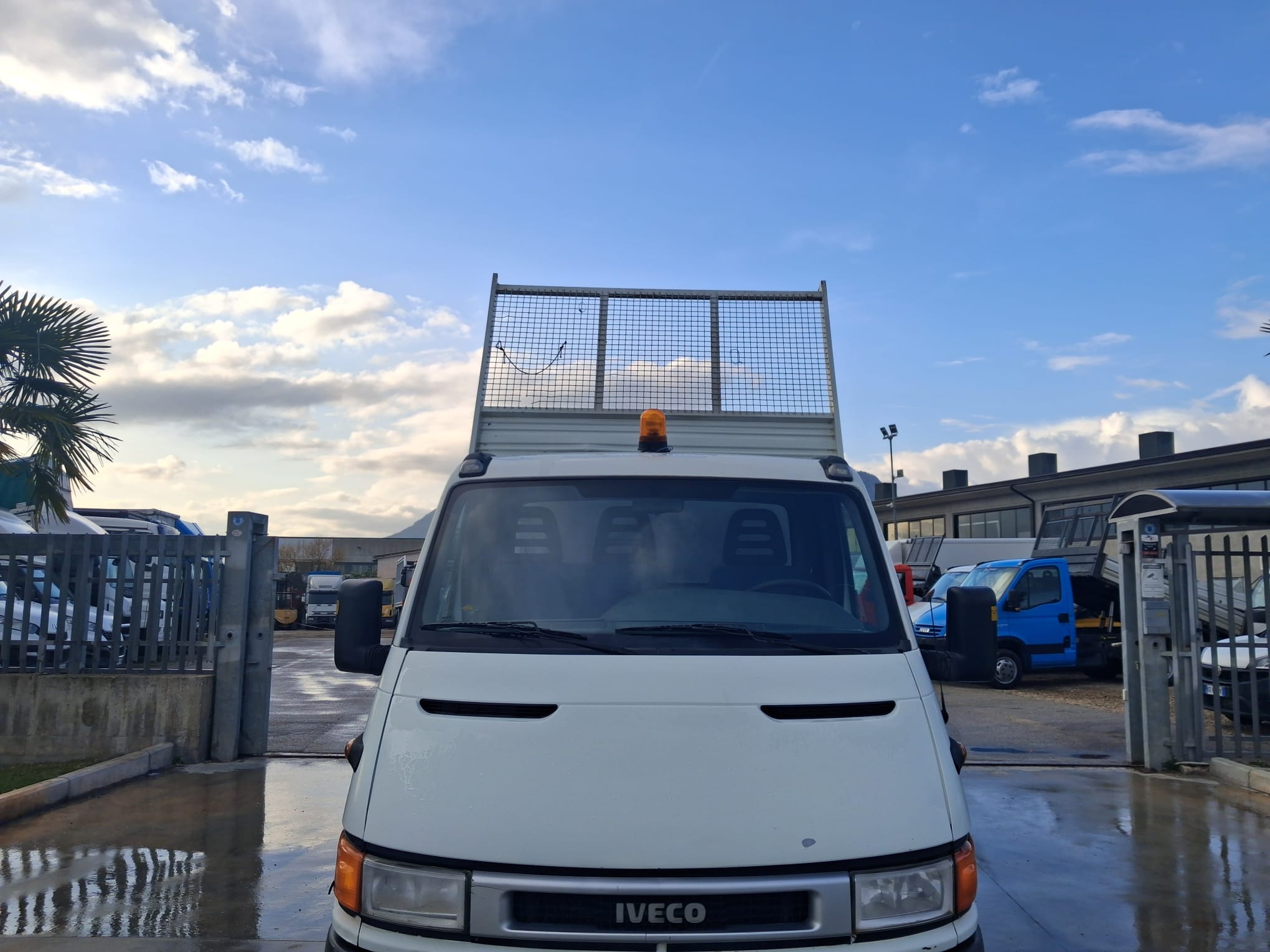 Iveco Daily 35c13 RIBALTABILE PASSO 3000 - immagine 12