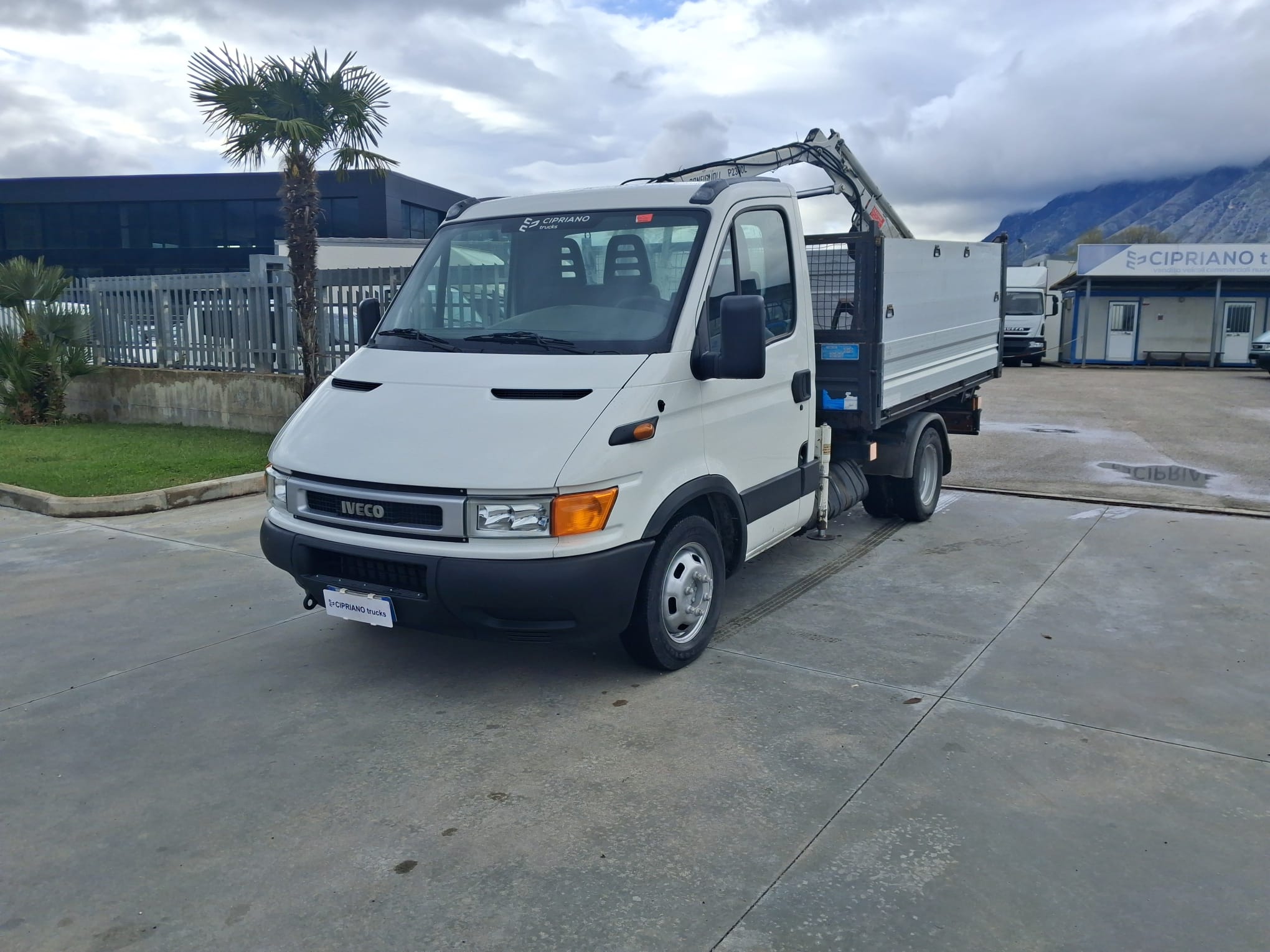 Iveco Daily 35c13 RIBALTABILE E GRU CARICATRICE - immagine 2