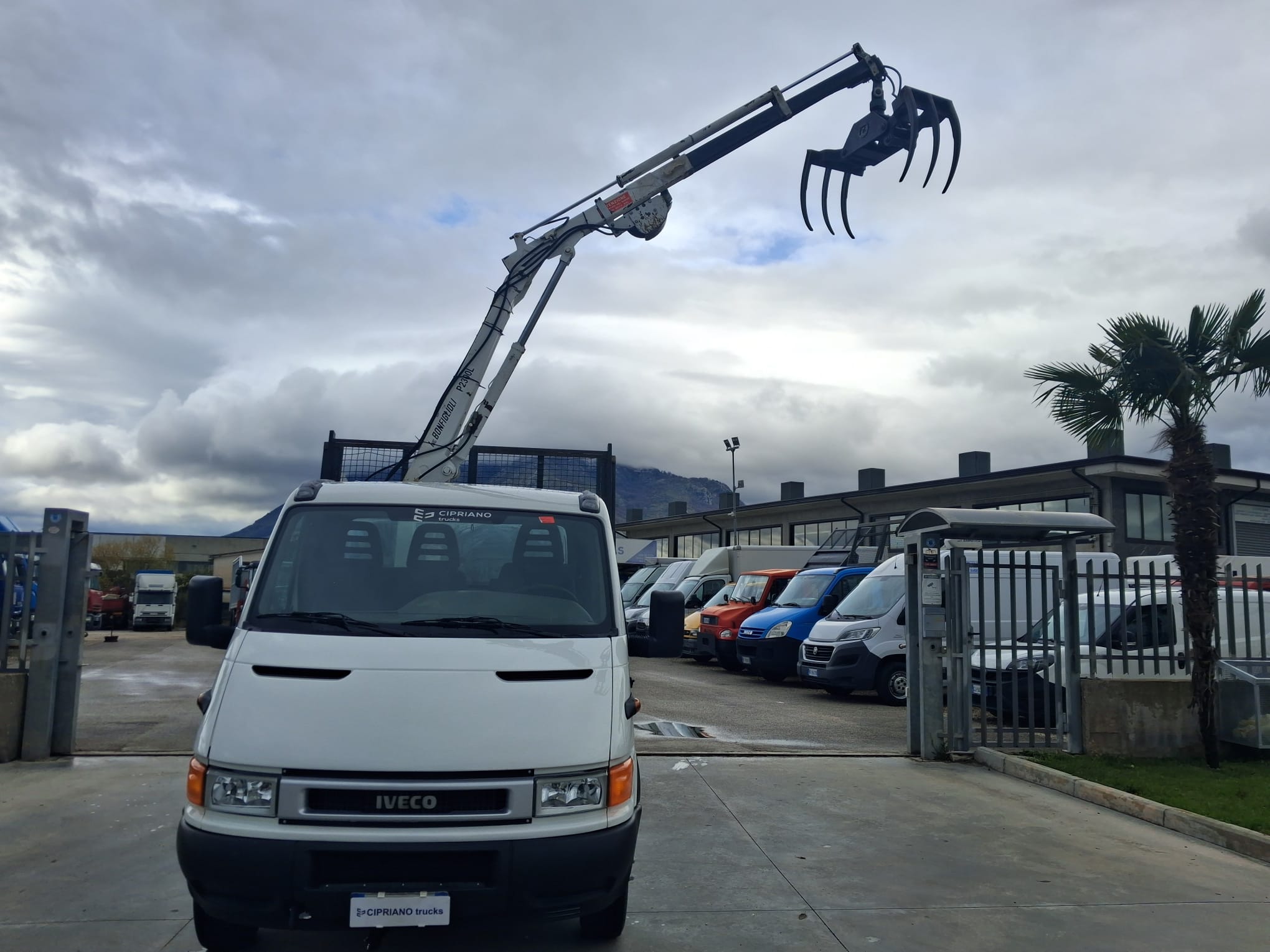 Iveco Daily 35c13 RIBALTABILE E GRU CARICATRICE - immagine 14