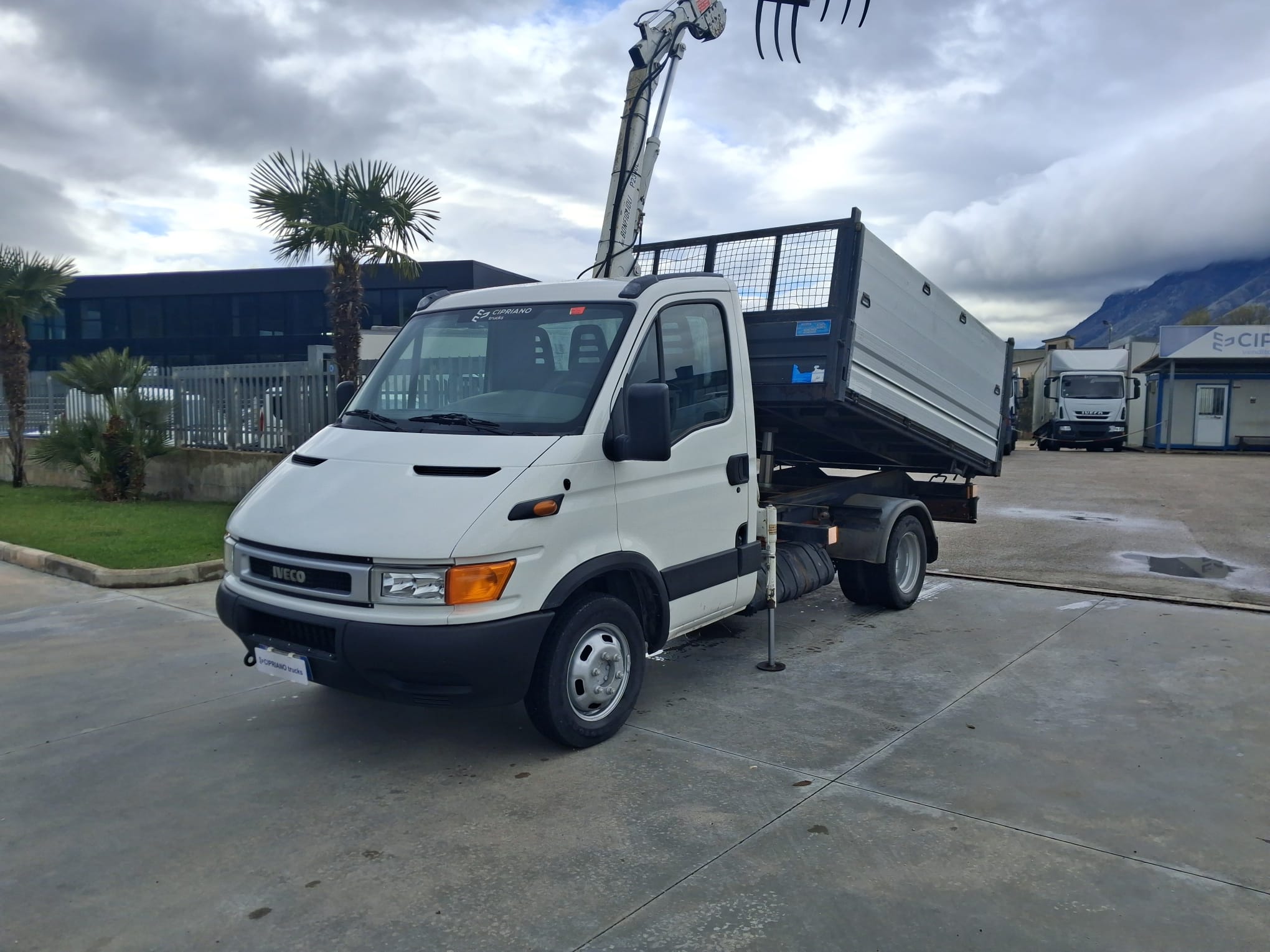 Iveco Daily 35c13 RIBALTABILE E GRU CARICATRICE - immagine 3