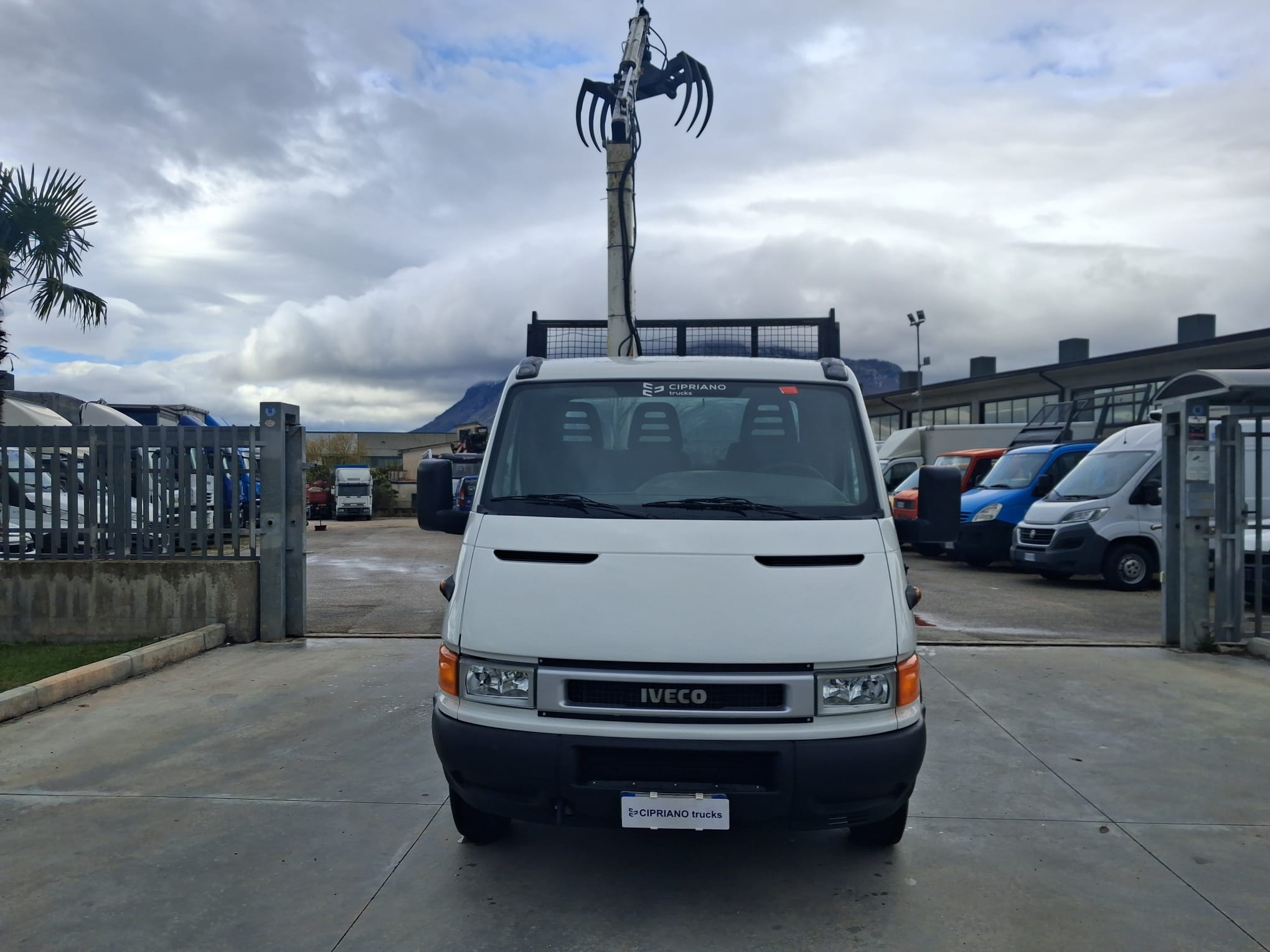 Iveco Daily 35c13 RIBALTABILE E GRU CARICATRICE - immagine 8