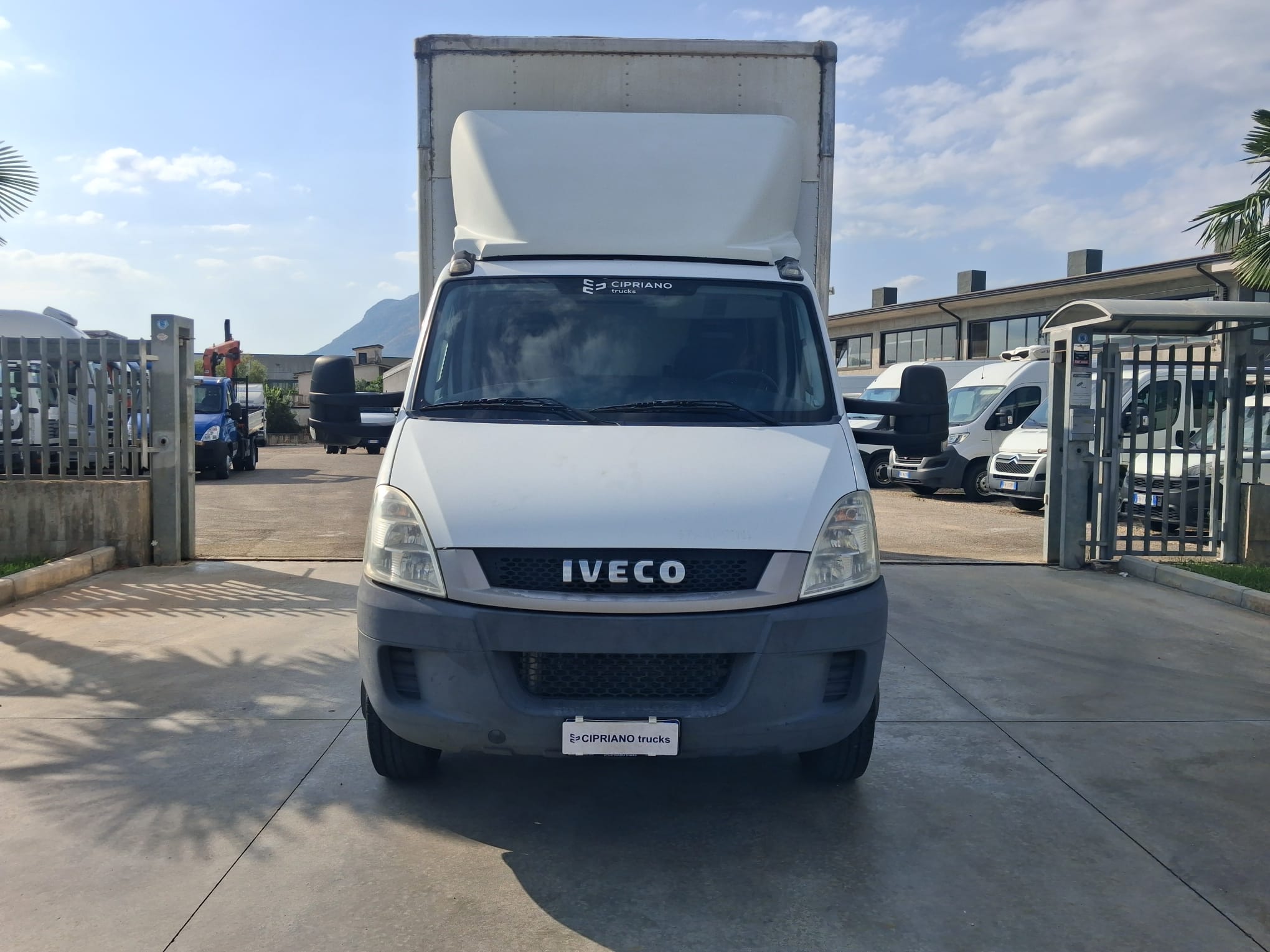 Iveco Daily 60c17 BOX E SPONDA - ANCHE CARROATTREZZI - immagine 5