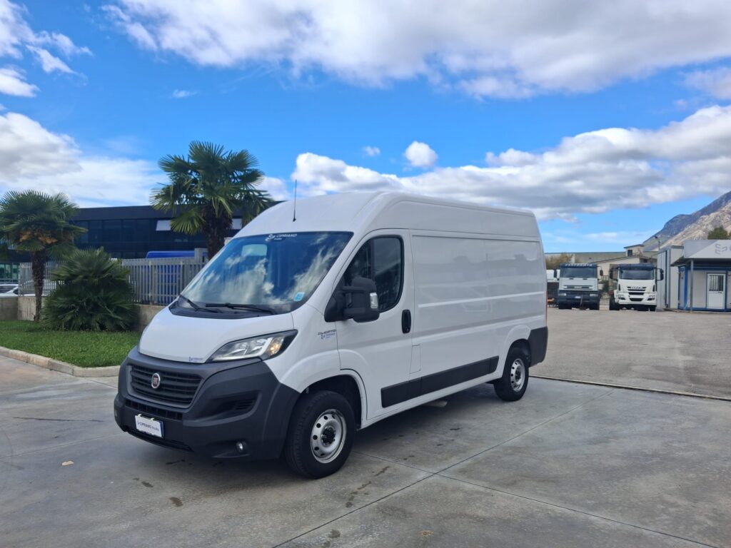 Fiat Ducato Furgonato - ANNO 2020