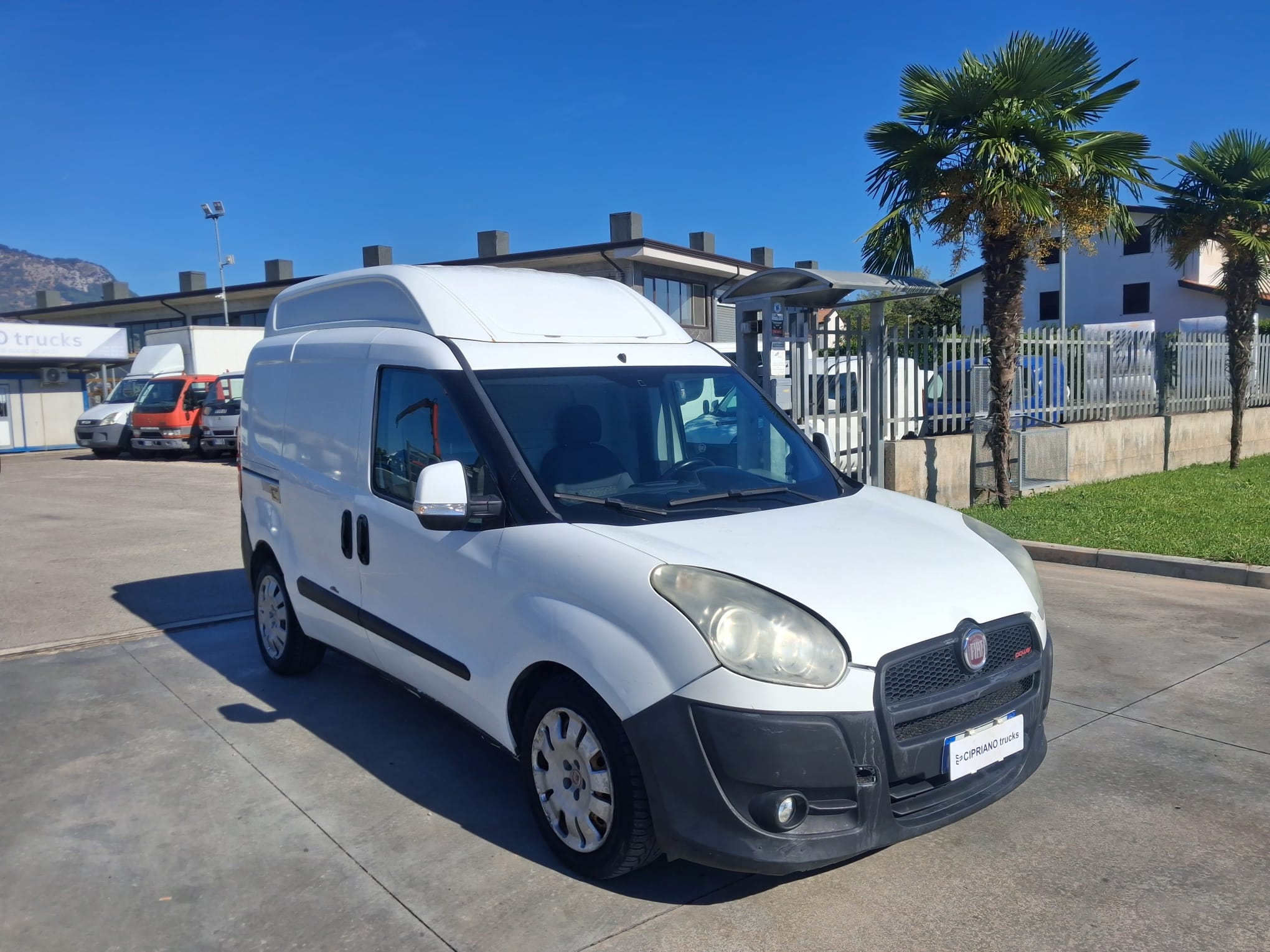 Fiat Doblò COIBENTATO TRASPORTO CARNE - immagine 3